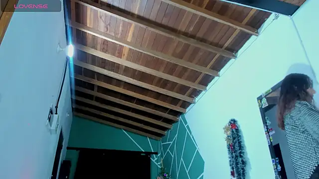 Snapshot of ink_demonxxx chatting on 12.29.24 ink demonxxx online show from 12.29.24