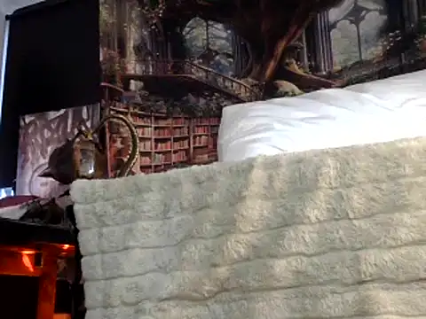 Snapshot of OSIRlS chatting on 01.26.25 OSIRlS online show from 01.26.25