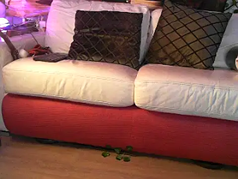 Snapshot of OSIRlS chatting on 03.02.25 OSIRlS online show from 03.02.25