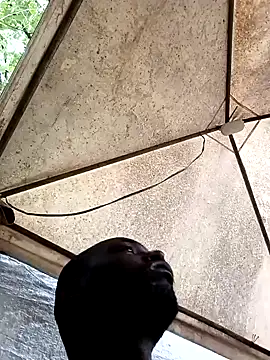 Snapshot of HARLEXBIGCOCK chatting on 12.10.24 HARLEXBIGCOCK online show from 12.10.24