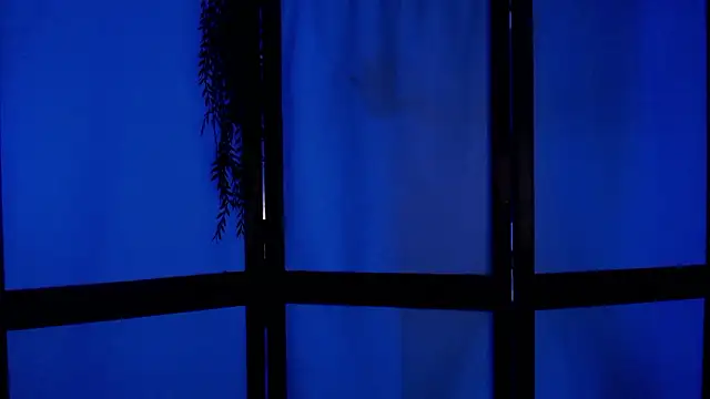 Wildorchid  online show from 12.02.24