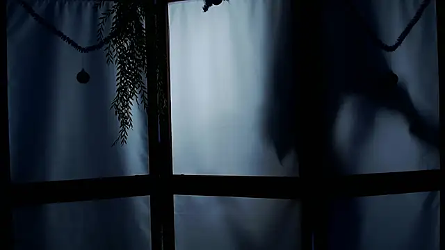 Wildorchid  online show from 01.19.25