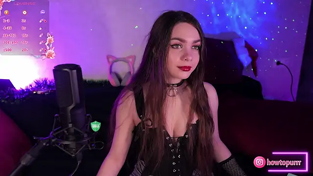 Snapshot of How2Meow chatting on 01.23.25 How2Meow online show from 01.23.25