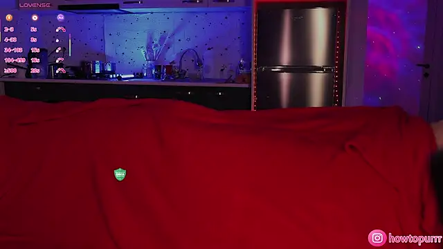 How2Meow online show from 02.06.26