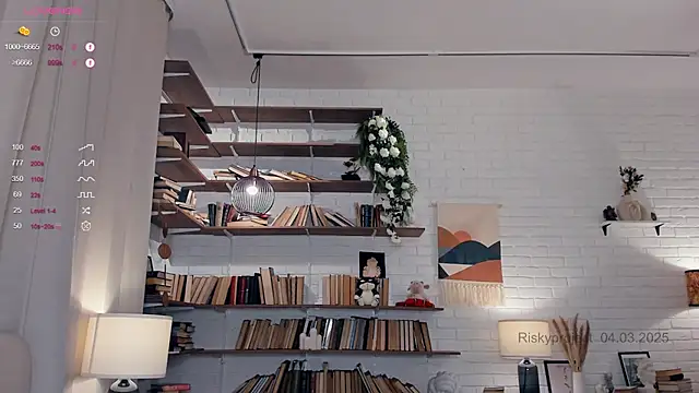 Riskyproject online show from 03.04.25