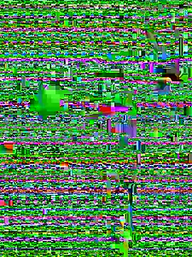 eva six online show from 12.20.24