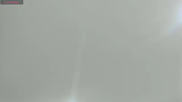 natasha logan  online show from 02.21.25