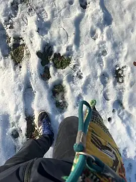 Snapshot of Mrbighardcock chatting on 01.14.26 Mrbighardcock online show from 01.14.26