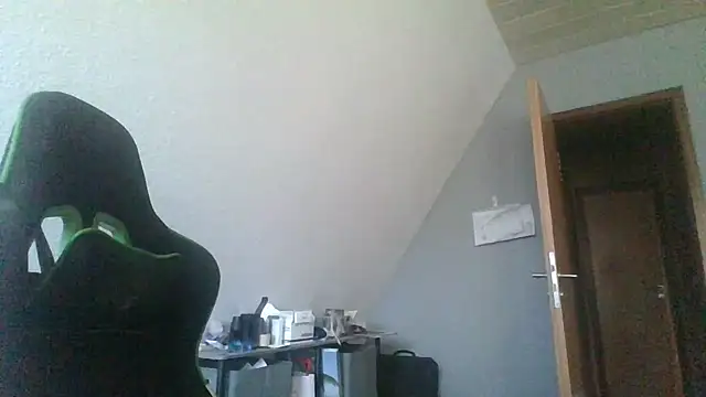 Snapshot of Golffahrer1982 chatting on 12.21.25 Golffahrer1982 online show from 12.21.25