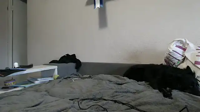 delightful sofi online show from 10.09.25