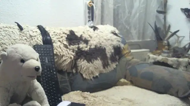 SexySantaC online show from 12.16.25