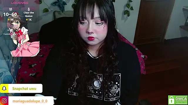 litlle cat online show from 02.23.25