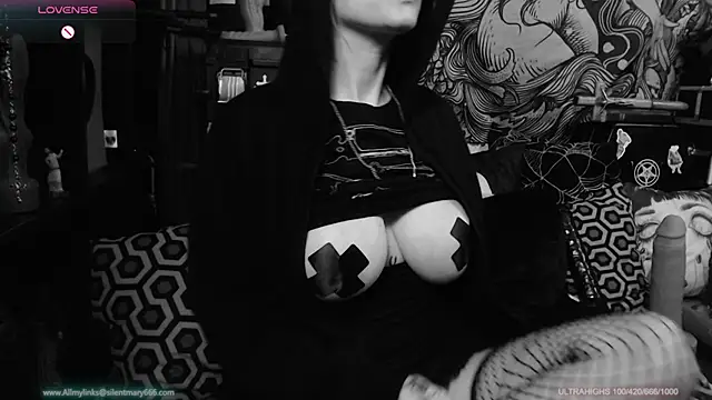 Silentmary online show from 01.22.25