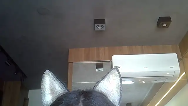 Skinny-Kitten online show from 11.19.25