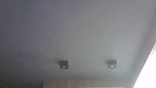 Skinny-Kitten online show from 11.29.25