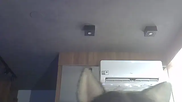 Skinny-Kitten online show from 12.16.25