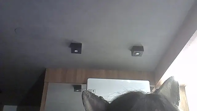 Skinny-Kitten online show from 02.11.26