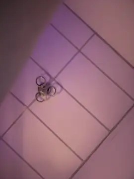 Charly  online show from 12.18.25