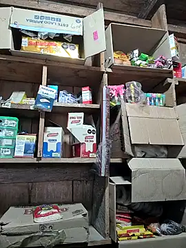 Snapshot of Evehampy chatting on 01.03.25 Evehampy online show from 01.03.25