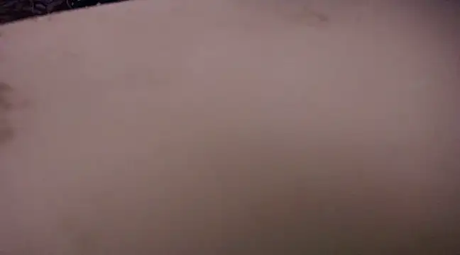 yselahot online show from 02.13.25