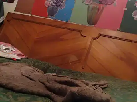 Snapshot of EllyseJenner chatting on 12.17.24 EllyseJenner online show from 12.17.24