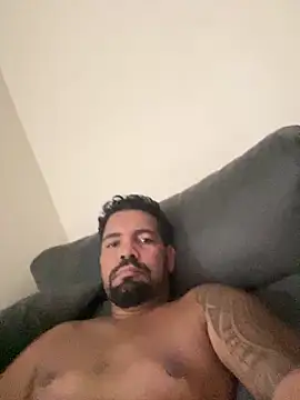 adgato online show from 02.22.26