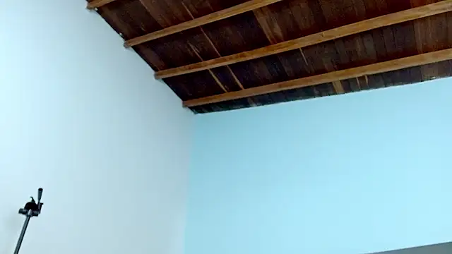 sophia hadid online show from 01.18.25