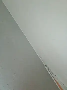 Stomps33 online show from 02.05.26