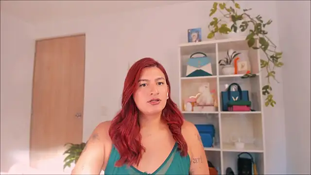 Snapshot of ari_artis chatting on 11.02.25 ari artis online show from 11.02.25