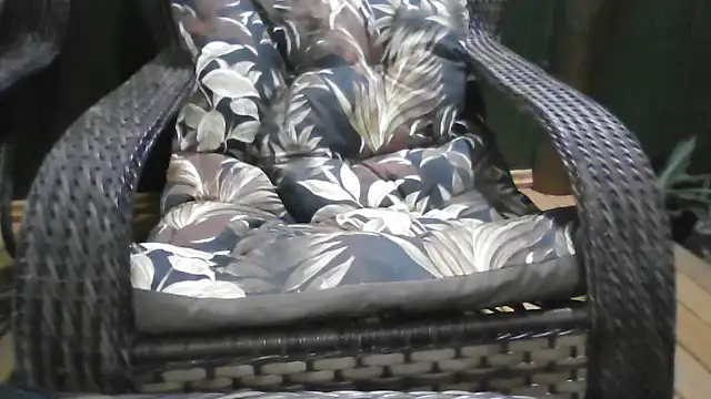 Snapshot of Kellynha_Sweet chatting on 12.21.25 Kellynha Sweet online show from 12.21.25