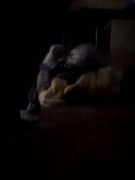 Snapshot of Daza67 chatting on 03.04.26 Daza67 online show from 03.04.26