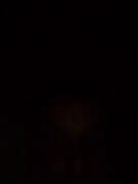 Supreme Packman online show from 02.19.25