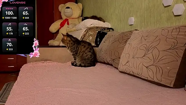 Miss Flexi fit online show from 04.09.26