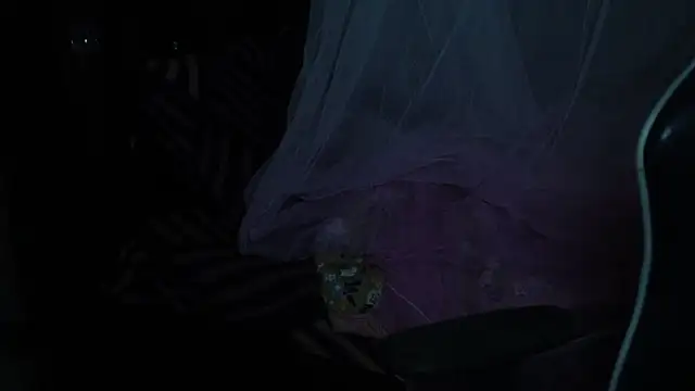 -AyeshaSinghania- online show from 11.18.25