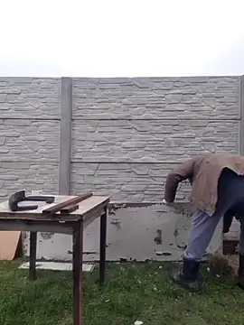 Snapshot of Pandasky chatting on 02.06.25 Pandasky online show from 02.06.25