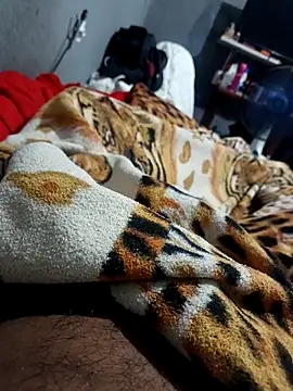 Mailsonp online show from 02.26.26