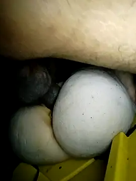 Bigcockmexi13 online show from 03.23.26