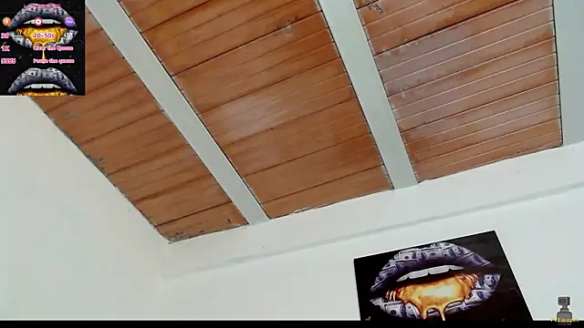 drake brwon 23 online show from 02.19.25