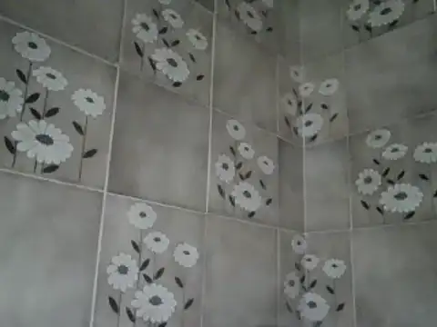 joaodias 97 online show from 01.14.25