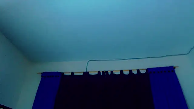 Pamela Dior online show from 12.03.25