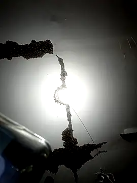 Snapshot of ColdVisitor chatting on 02.06.26 ColdVisitor online show from 02.06.26