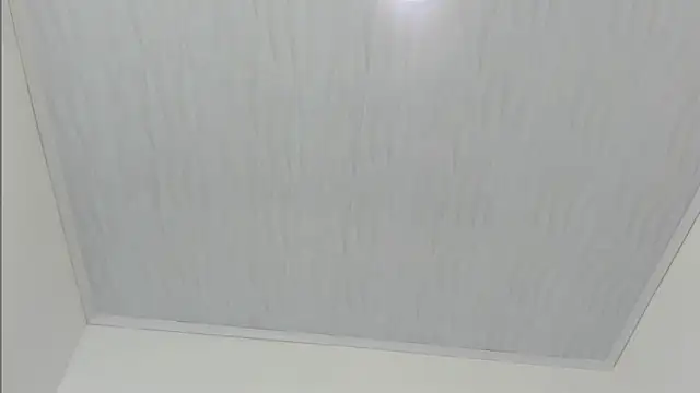 merlyna goldens online show from 11.22.25