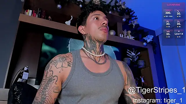 TigerStripes1  online show from 01.04.25