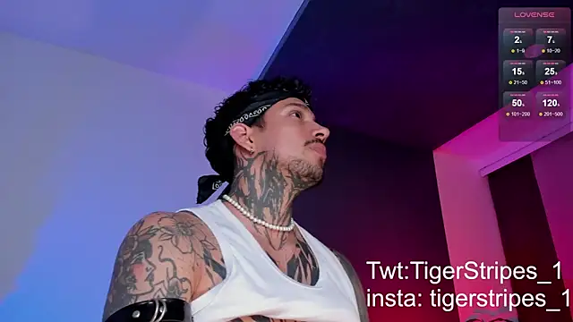 TigerStripes1  online show from 03.11.25