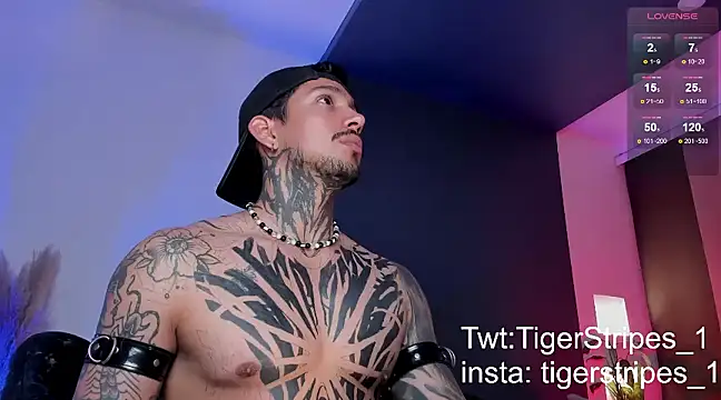 TigerStripes1  online show from 03.16.25