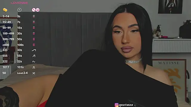 Snapshot of qsstess chatting on 12.26.24 qsstess online show from 12.26.24