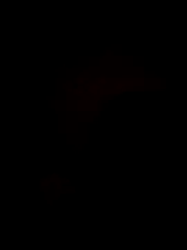 Snapshot of Bella-Tight chatting on 10.30.25 Bella-Tight online show from 10.30.25