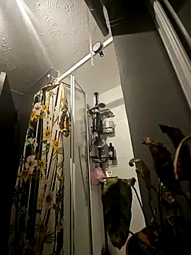 Degusta avo online show from 03.15.25